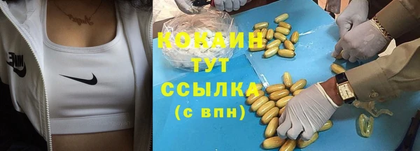 спиды Инсар