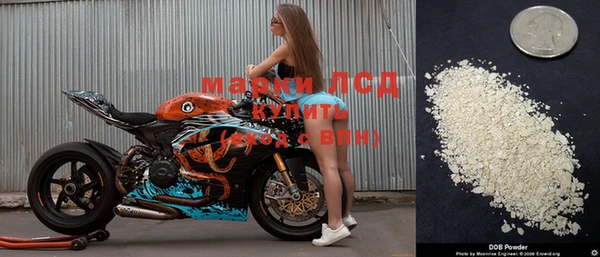 спиды Инсар