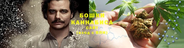 спиды Инсар